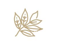 Organic Frankincense Essential Oil